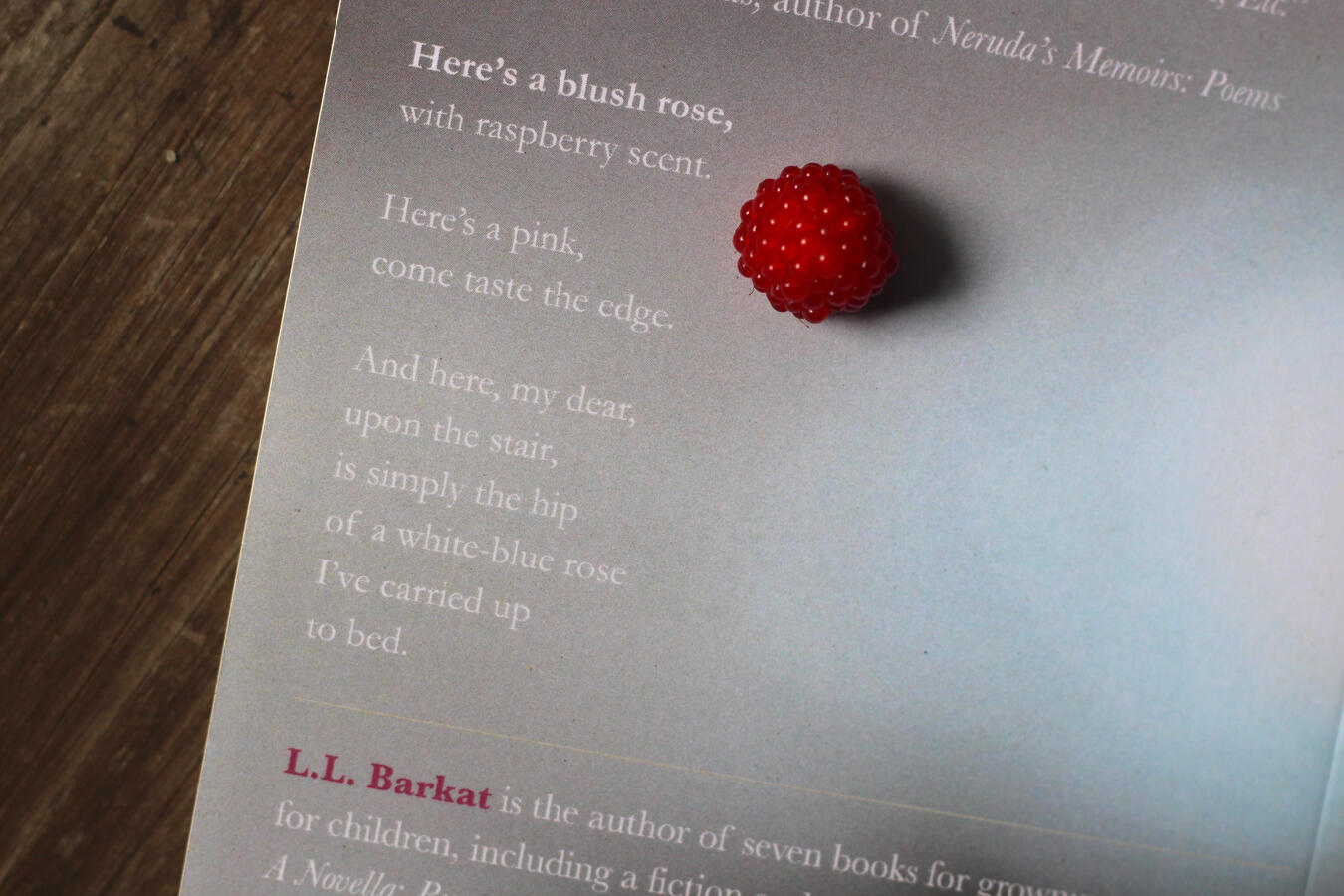 a rose love poem from love, etc a rose love poem from love, etc